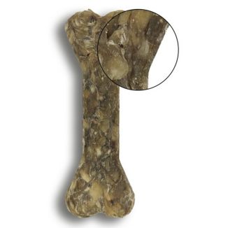 Bubalicious Kość Puppy & Senior Z Krewetką, Owocami Dzikiej Róży I Witaminami 17Cm [3723]