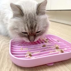 Duvo+ Miska Spowalniająca Silikonowa 20cm – Kwadratowa Różowa