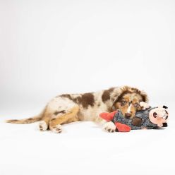 Zabawka dla Psa Gargamel Duvo+ z Butelką w Środku 33cm | Edycja Smerfy