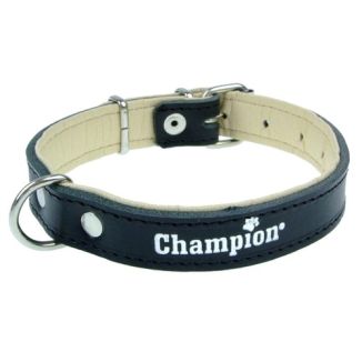 Champion Obroża Skórzana Na Skórce Czarna Sk/S 50/1,8 [Sos]