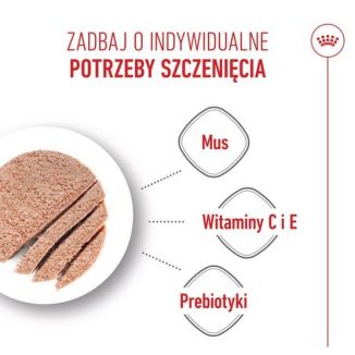 Royal Canin Starter Mother&Babydog Karma Mokra - Mus, Dla Suk W Czasie Ciąży, Laktacji Oraz Szczeniąt Puszka 195G