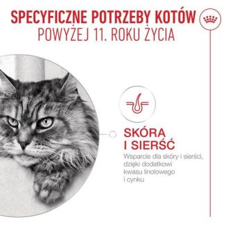Royal Canin Ageing +11 Karma Mokra Dla Kotów Dojrzałych W Sosie Saszetka 85G