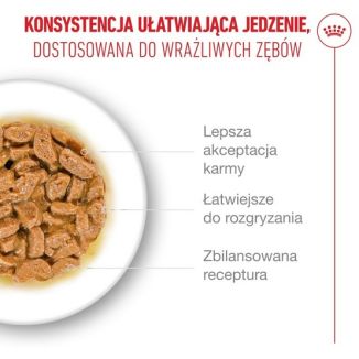Royal Canin Ageing +15 Karma Mokra Dla Kotów Dojrzałych W Sosie Saszetka 85G
