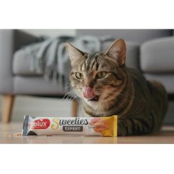 Zolux Sweeties Kremowy Przysmak Dla Kota - Tuńczyk I Łosoś 14G