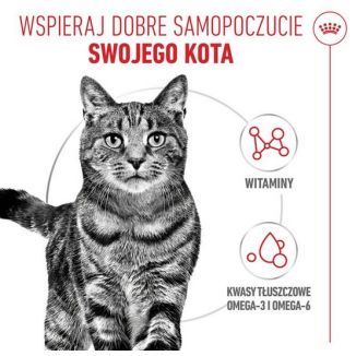 Royal Canin Hair & Skin Care W Sosie  Karma Mokra Dla Kotów Dorosłych, Zdrowa Skóra, Piękna Sierść Saszetka 85G