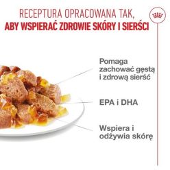 Royal Canin Hair & Skin Care Karma Mokra W Galaretce Dla Kotów Dorosłych, Lśniąca Sierść I Zdrowa Skóra Saszetka 85G