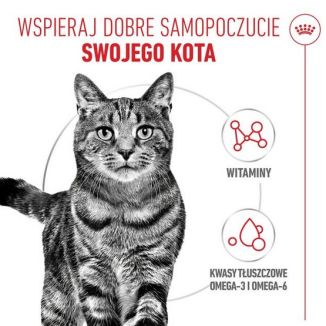 Royal Canin Hair & Skin Care Karma Mokra W Galaretce Dla Kotów Dorosłych, Lśniąca Sierść I Zdrowa Skóra Saszetka 85G