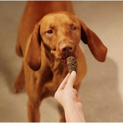 Carnilove Dog Jerky Lamb & Salmon - Jagnięcina I Łosoś 100G