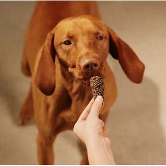 Carnilove Dog Jerky Beef Fillet - Wołowina Filet 100G