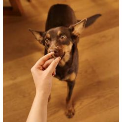 Carnilove Dog Soft Snack Duck 200G