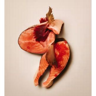 Carnilove Dog Soft Snack Salmon Small Bite 200G