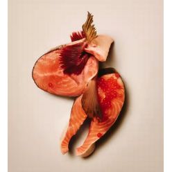 Carnilove Dog Soft Snack Salmon Small Bite 200G