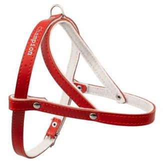 Champion Szelki 40 Czerwone [Sd(R)]