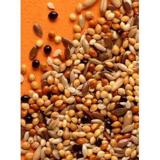Rio Pokarm Dla Papużek Falistych W Okresie Pierzenia 500G