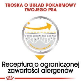 Royal Canin Dermacomfort Loaf  Karma Mokra – Pasztet, Dla Psów Dorosłych Wszystkich Ras Saszetka 85G