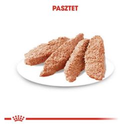 Royal Canin Dermacomfort Loaf  Karma Mokra – Pasztet, Dla Psów Dorosłych Wszystkich Ras Saszetka 85G
