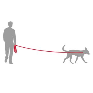 Czerwona Smycz Treningowa dla Psa Duvo+ EXPLOR Taśma 5m 20mm Wytrzymała