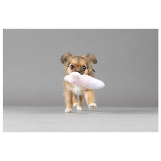 Flamingo Boban Pluszowa Kość dla Szczeniąt Zabawka Piszcząca 13cm Mix