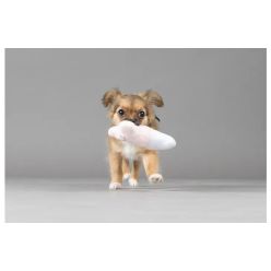 Flamingo Boban Pluszowa Kość dla Szczeniąt Zabawka Piszcząca 13cm Mix