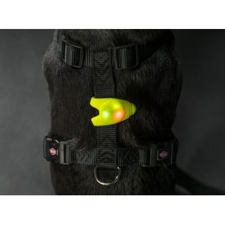 Trixie Flasher Zawieszka Świecąca 11Cm [13448]
