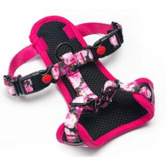 Chaba Szelki Guard Comfort Bezuciskowe Story Iv Xs Peony