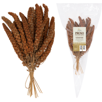 Opakowanie 150g naturalnych całych kłosów czerwonego prosa senegalskiego TIVO dla ptaków, papug i gryzoni.