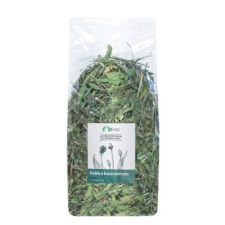 Duże opakowanie 600g suszonej babki lancetowatej TIVO XXL dla królików i gryzoni.