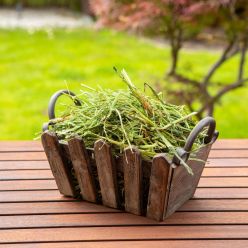 TIVO Usianowanko Siano Dla Świnek Morskich i Gryzoni 1kg | Konikpolny