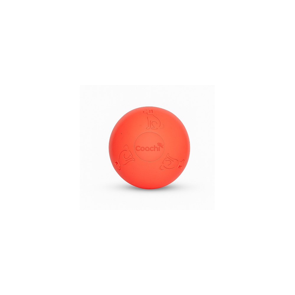 Boomi Ball S Puppy Mini- 4""  10Cm Cool Mint