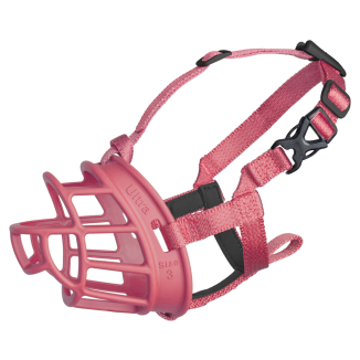 Baskerville Ultra 4 Pink Neu