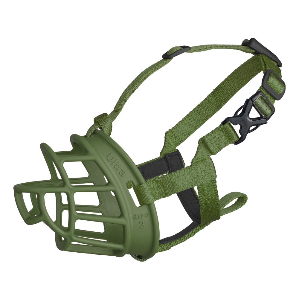 Baskerville Ultra 3 Green Neu