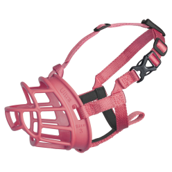 Baskerville Ultra 3 Pink Neu