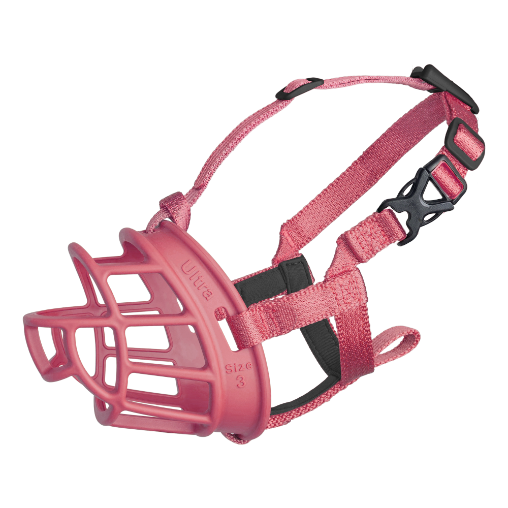 Baskerville Ultra 3 Pink Neu