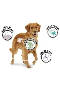 8In1 Fillets Pro Active 80G Glukozamina /8