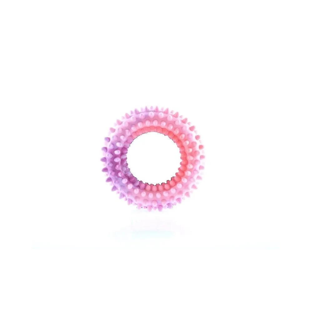 Sum-Plast Zabawka Ring+Kolec Mały  Nr 1      /5