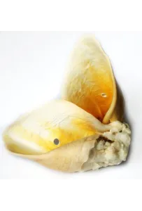 Arami B Uszy Wołowe  (Op.2Szt.)