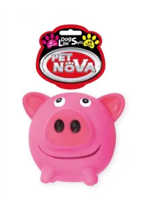 Pet Nova Vin Pig Ball 10Cm       /6