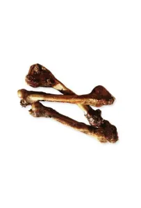 Arami B Kość Dzika Mała