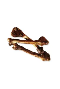 Arami B Kość Dzika Duża