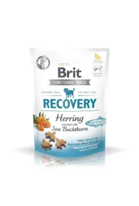 Brit Pies 150G Snack Recovery Herring Sea Buckthorn