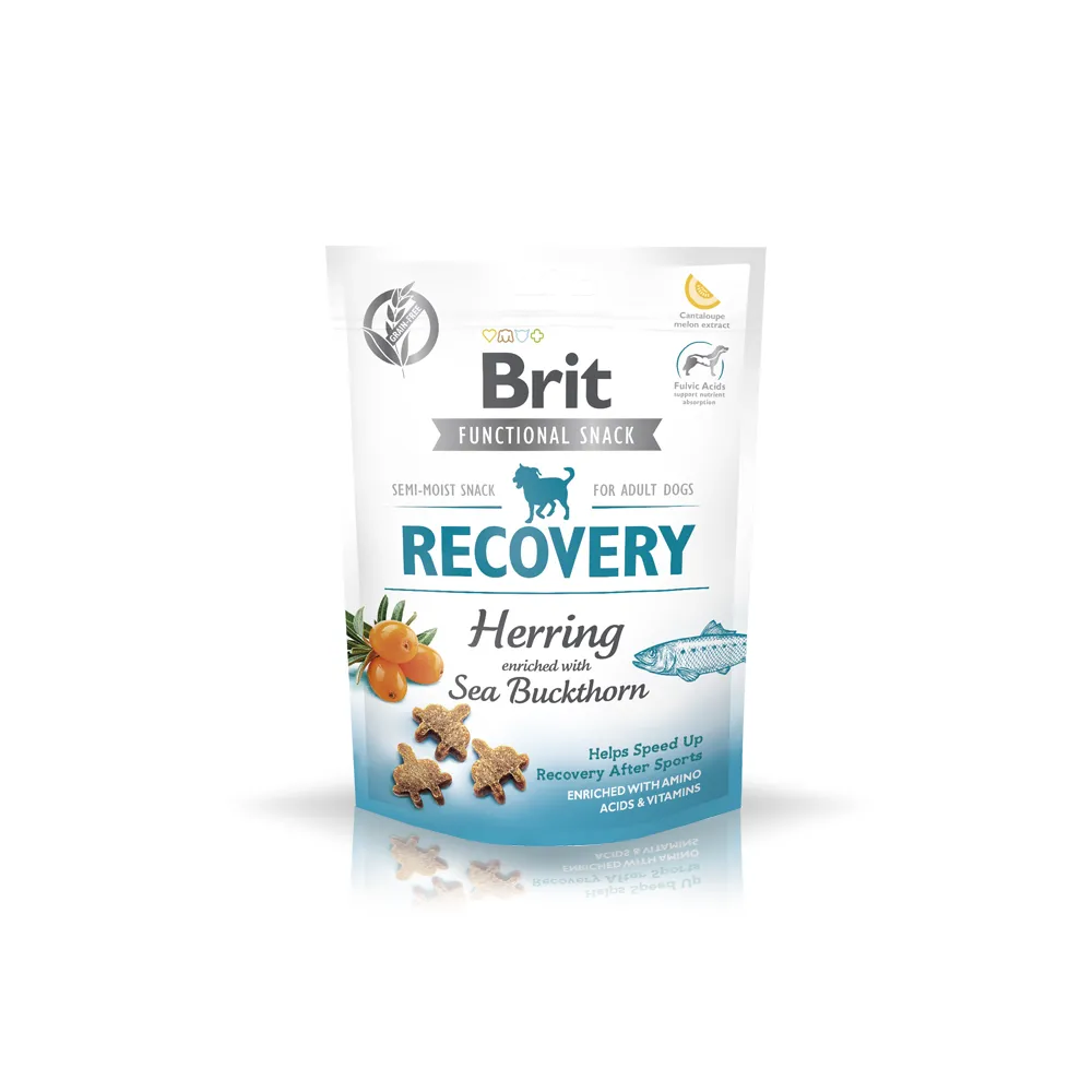 Brit Pies 150G Snack Recovery Herring Sea Buckthorn