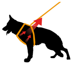 Ferplast Ergocomfort Szelki "Xl" Nieb. 78-88Cm  Max 50Kg