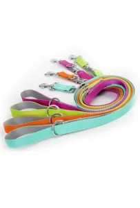 Dingo Smycz Energy Reg 1,6/220Cm Zielona