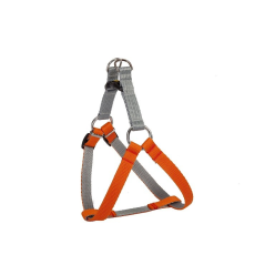 Dingo Szelki Energy 2,5/85Cm Pomarańcz