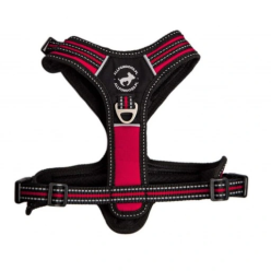 All For Dogs Szelki Sportowe Xs Czerwone 34-54Cm