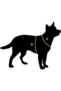 All For Dogs Szelki Sportowe Xs Czerwone 34-54Cm