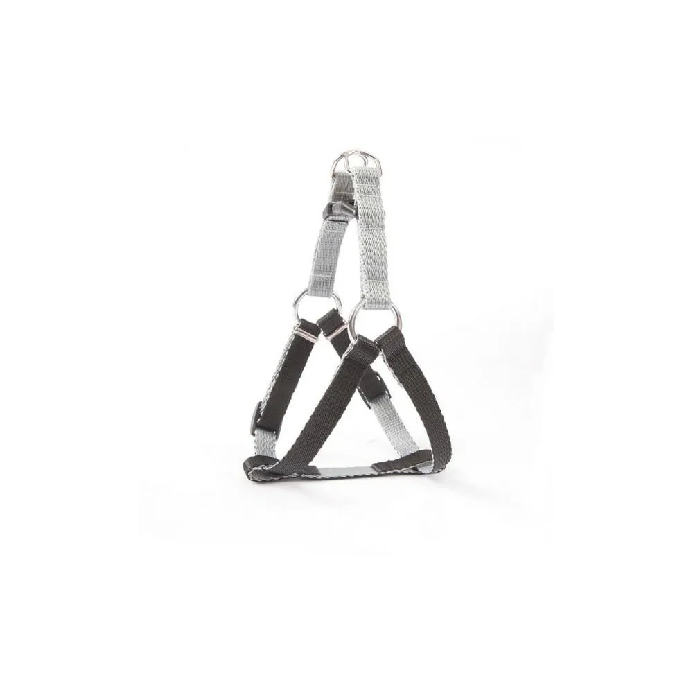 Dingo Szelki Fred Silver Twilight 1,6/60 Czarny