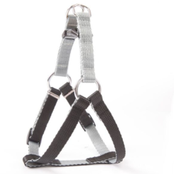 Dingo Szelki Fred Silver Twilight 1/40 Czarny