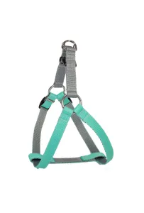 Dingo Szelki Energy 2,5/85Cm Miętowe