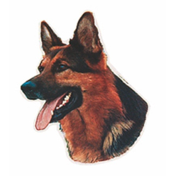 Naklejka Dwustronna Normal